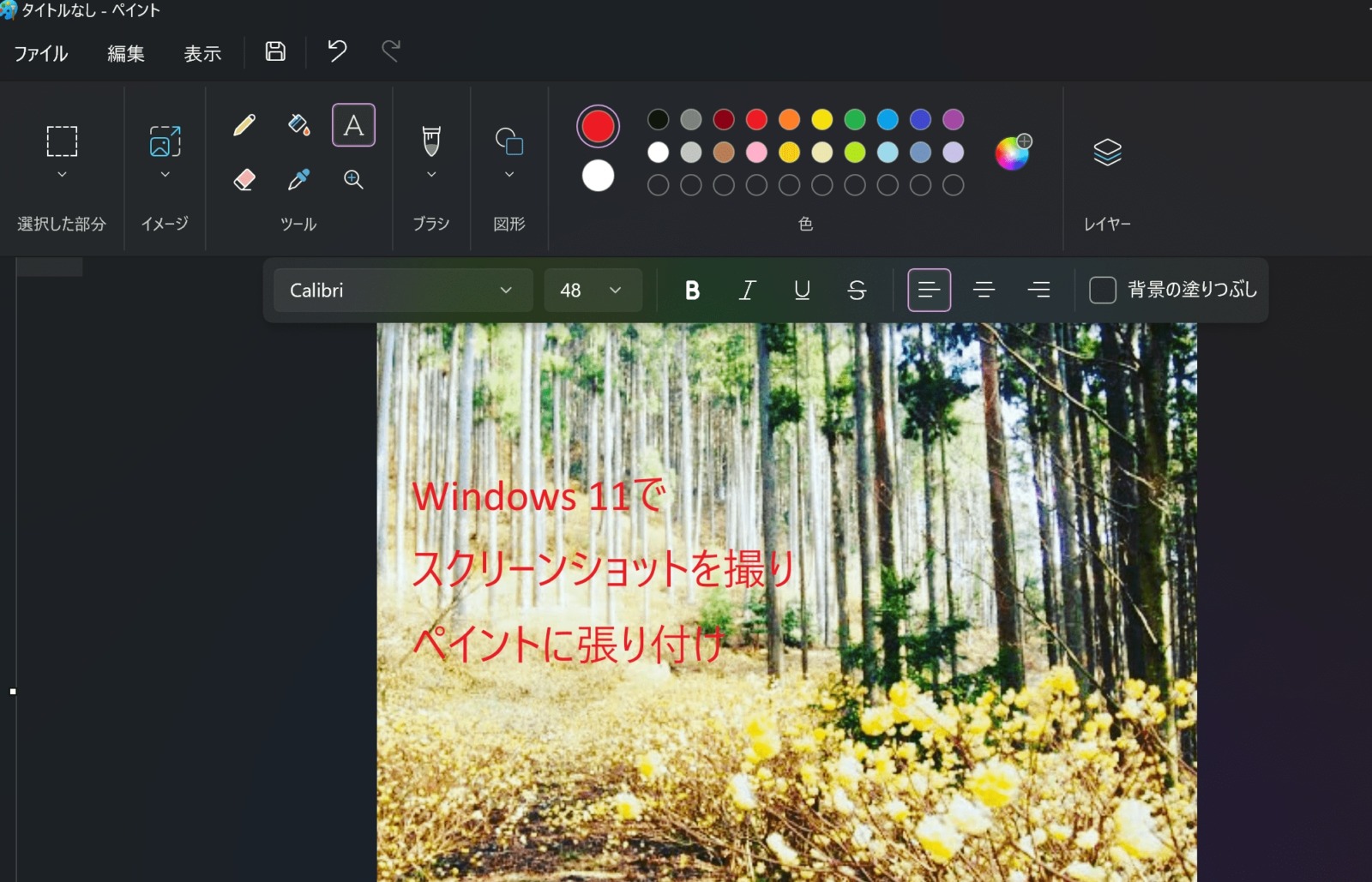 Print Screen (PrtSc)キーでのペイントへの貼り付け